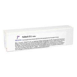 Pallasit D 2 Salbe (25 g) – PZN 480738