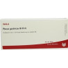 PLEXUS GASTRICUS GL D15, 10X1 ML – PZN 4626966