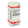 Panax Ginseng D 6 Globuli (10 g) – PZN 7249062