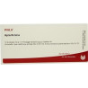 APIS/ARNICA, 10X1 ML – PZN 1750559
