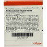 ANTHRACHINON INJ FORTE, 10 ST – PZN 1804137