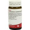 LYCOPODIUM E PL TOTA D12, 20 G – PZN 8786543