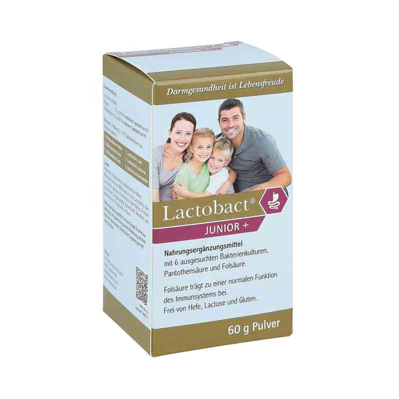 Lactobact Junior Pulver (60 g) – PZN 4652722