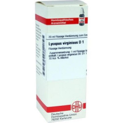 Lycopus Virg. D 1 Dilution (20 ml) – PZN 2103460