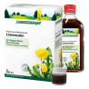 Löwenzahn Saft Schoenenberger Heilpflanz.säfte (3X200 ml) – PZN 700051