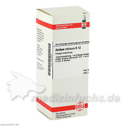 ACIDUM NITR D12, 50 ML – PZN 2808568