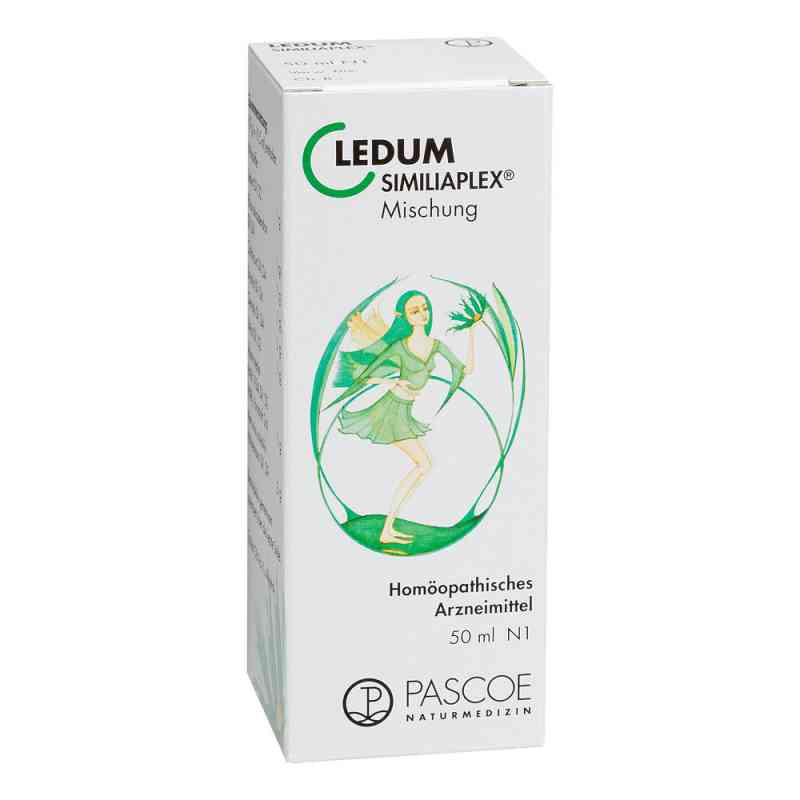 Ledum Similiaplex Tropfen (50 ml) – PZN 1353166