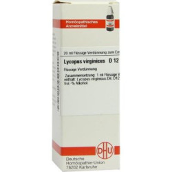 Lycopus Virg. D 12 Dilution (20 ml) – PZN 2617555