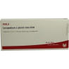 LYCOPODIUM E PL TOTA D30, 10X1 ML – PZN 2882903