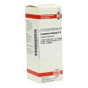 Leonurus Cardiaca D 3 Dilution (20 ml) – PZN 4224251