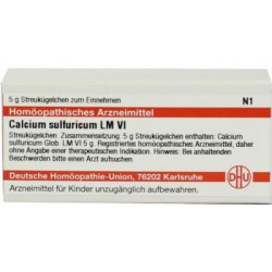 Lm Calcium Sulfuricum Vi Globuli (5 g) – PZN 2822054