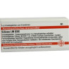 Lm Silicea Xxx Globuli (5 g) – PZN 2678901