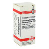 Lm Calcium Carb. Xviii Hahnemanni (10 ml) – PZN 2667932