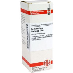 Lachnanthes Tinct. D 4 Dilution (20 ml) – PZN 4223990