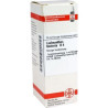 Lachnanthes Tinct. D 4 Dilution (20 ml) – PZN 4223990