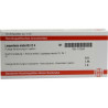 Lespedeza Sieboldii D 4 Ampullen (10X1 ml) – PZN 7172336