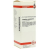 Lespedeza Capitata D 6 Dilution (50 ml) – PZN 7248275