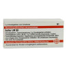 Lm Sulfur Xii Globuli (5 g) – PZN 2678982