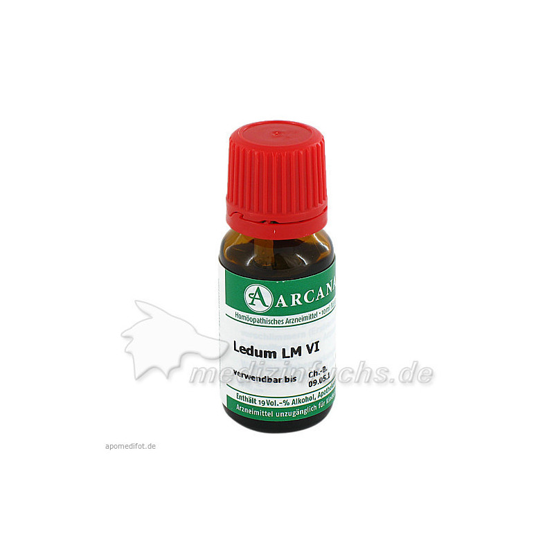 LEDUM ARCA LM 6, 10 ML – PZN 2602631
