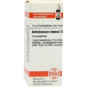 Anhalonium Lewinii D 4 Globuli (10 g) – PZN 7594528