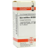 Lm Apis Mellifica Xviii (10 ml) – PZN 2667702