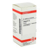 Ledum D 12 Tabletten (80 stk) – PZN 2103170