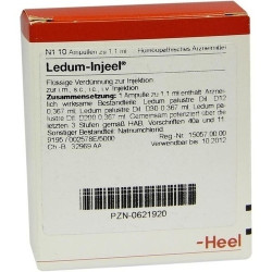LEDUM INJ, 10 ST – PZN 621920
