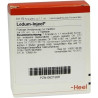 LEDUM INJ, 10 ST – PZN 621920