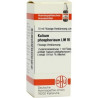 Lm Kalium Phosphoricum Vi (10 ml) – PZN 2668593