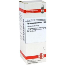 Lycopus Virg. D 6 Dilution (20 ml) – PZN 1777601