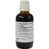 LEDUM URT D 1 HANOS, 50 ML – PZN 7431683