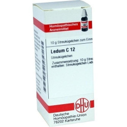 LEDUM C12, 10 G – PZN 7172112