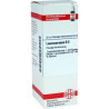 Laurocerasus D 2 Dilution (20 ml) – PZN 2103112