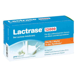 Lactrase 12.000 Fcc Kapseln (90 stk) – PZN 13704085