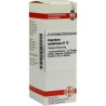 Argentum Metallicum D 12 Dilution (20 ml) – PZN 2806322