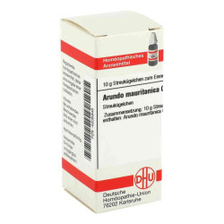 Arundo Mauritan. C 6 Globuli (10 g) – PZN 4205845