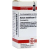 AURUM MET C1000, 10 G – PZN 4206247
