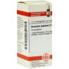Arsenum Jodatum D 30 Globuli (10 g) – PZN 4205756