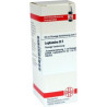 Leptandra D 2 Dilution (20 ml) – PZN 7172276