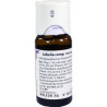 LOBELIA COMP, 50 ML – PZN 1629361