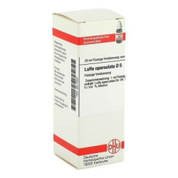 Luffa Operculata D 5 Dilution (20 ml) – PZN 2617207