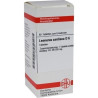 LEONURUS CARDIACA D 6, 80 ST – PZN 7457783