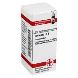 Lachesis D 8 Globuli (10 g) – PZN 2813138