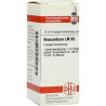 Lm Anacardium Xii (10 ml) – PZN 4491437
