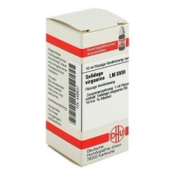 Lm Solidago Virgaur. Xviii (10 ml) – PZN 4499031