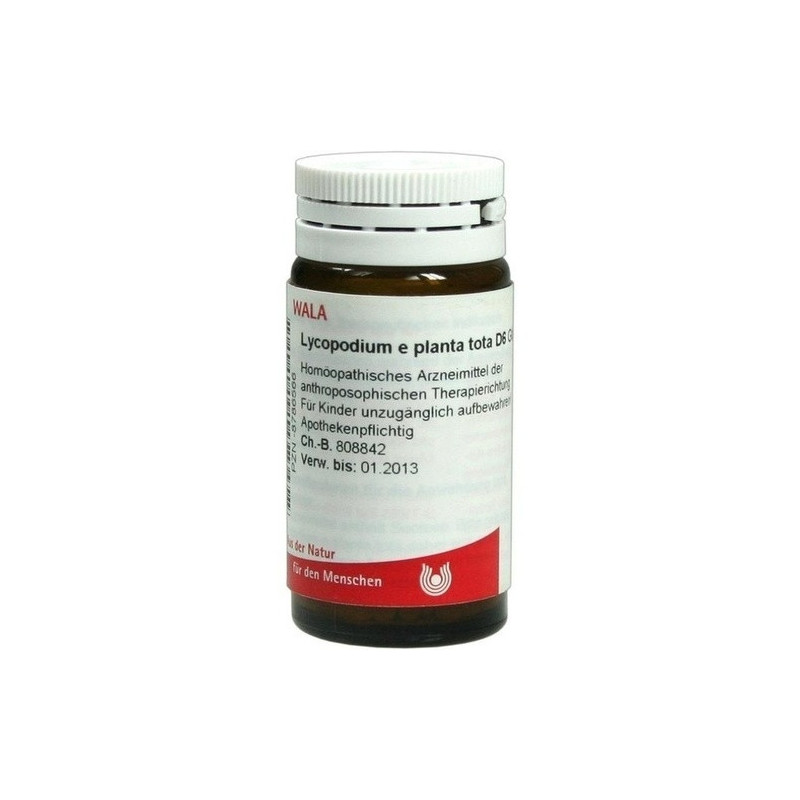 LYCOPODIUM E PL TOTA D 6, 20 G – PZN 8786566