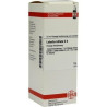 Lobelia Inflata D 4 Dilution (50 ml) – PZN 2810306