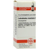 Latrodectus Mactans D 12 Globuli (10 g) – PZN 4776200