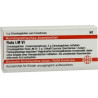 Lm Ruta Vi Globuli (5 g) – PZN 2659973