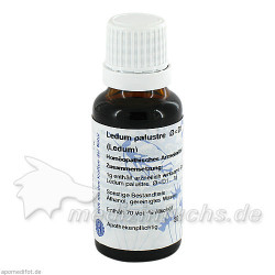 LEDUM URT D 1 HANOS, 20 ML – PZN 7431677